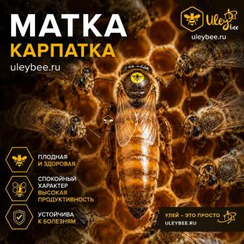 Матка Карпатка